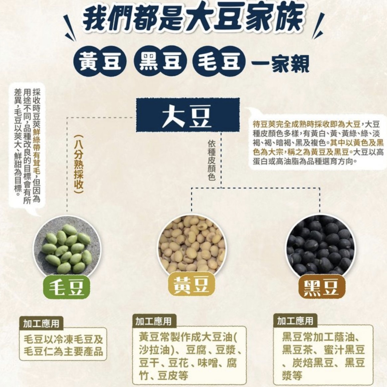 為豆漿加點「料」，營養多十倍，更易吸收 ! - Mark哥醫師