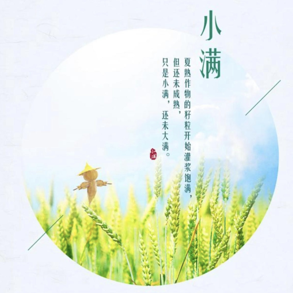 節氣養生-小滿  （小滿後我們應該如何養生？）- Mark哥醫師