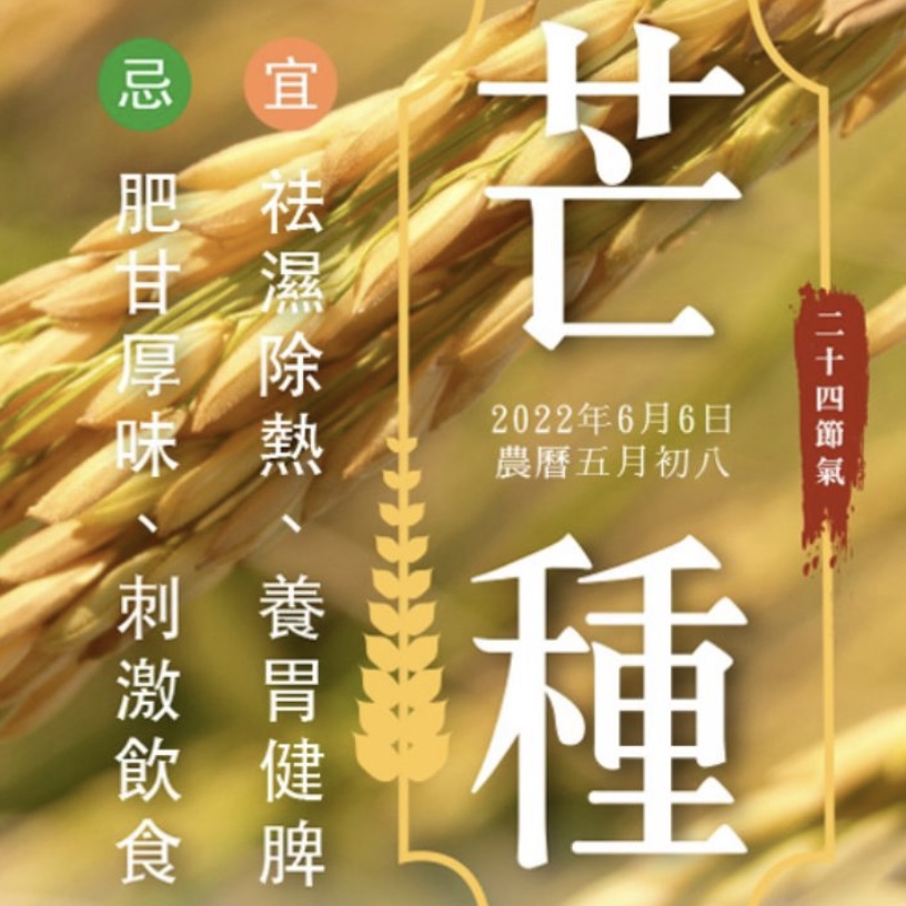 「芒種」養生-天氣熱，精神差，慎防暑濕增加腸胃、血栓疾病的發生風險 - Mark哥醫師