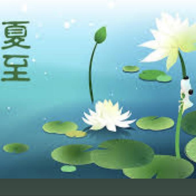 「夏至」養生食材和食譜（茶水、小食和湯水各一）- Mark哥醫師